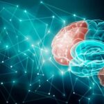 Repetitive Transcranial Magnetic Stimulation on Chronic Pain Patients